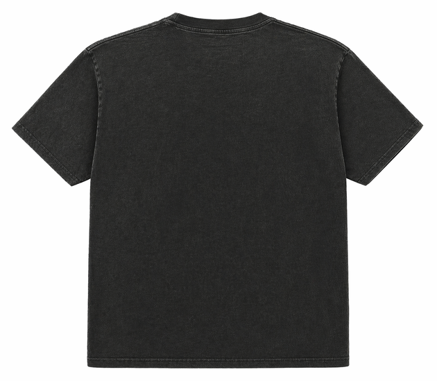 Heatcheck Jesus T-shirt Ash Black